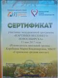 Сертификат участника экскурсионной программы "Картинки весеннего Новосибирска" Сертификат участника экскурсионной программы "Картинки весеннего Новосибирска"